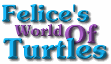 Felice's World Of Turtles