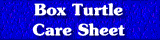 Box Turtle Care Sheet