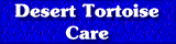 Desert Tortoise Care
