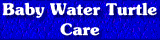 Baby Water Turtle Care